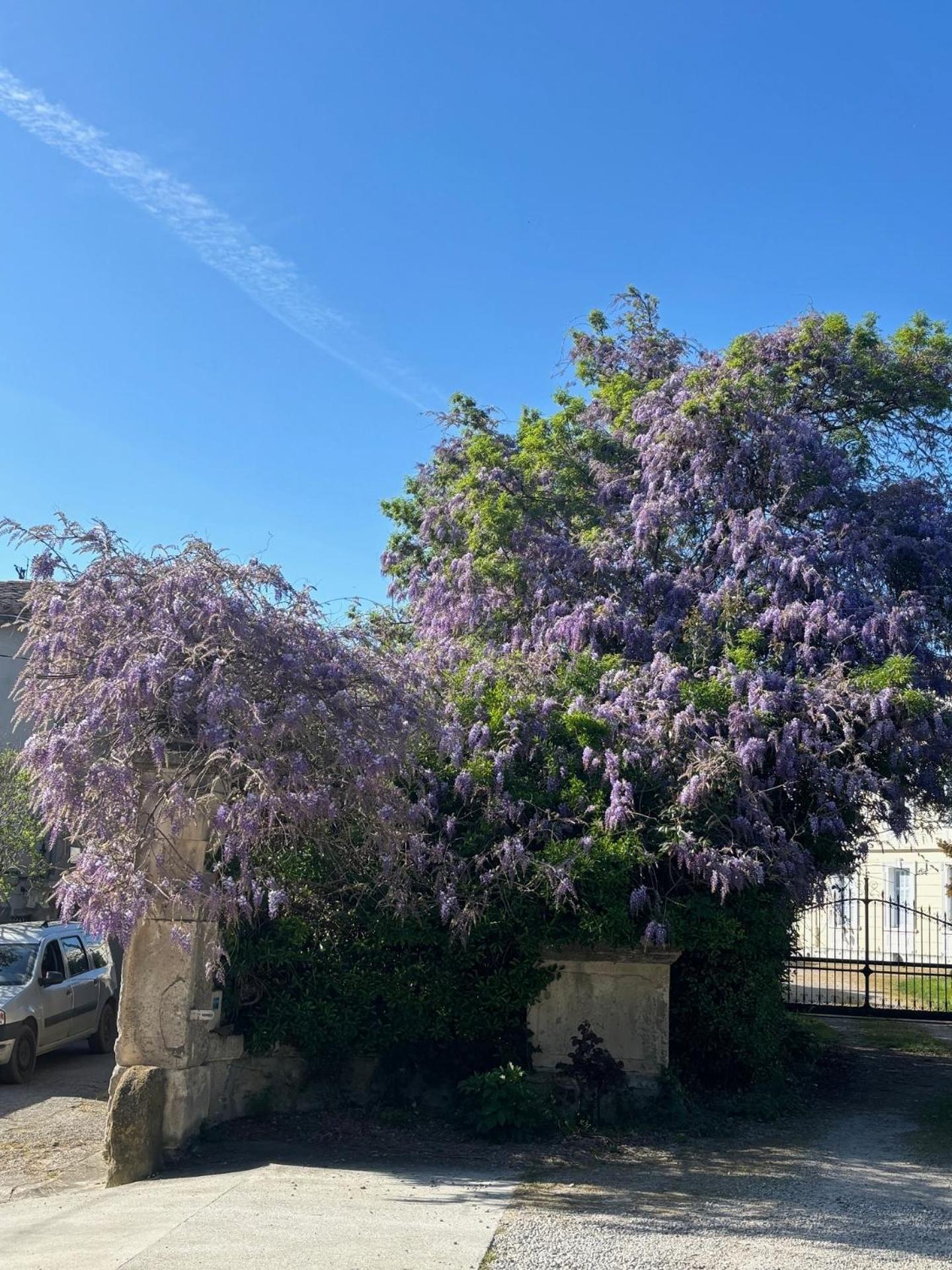 Le Grenier Occitan Bed & Breakfast Gramazie ภายนอก รูปภาพ